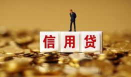 深圳蛇口自贸区哪里可以民间借贷-深圳蛇口自贸区私人借钱当天拿钱-深圳蛇口自贸区贷款联系电话