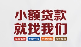 深圳蛇口自贸区小额短借-深圳蛇口自贸区私人借贷平台-深圳蛇口自贸区个人借钱
