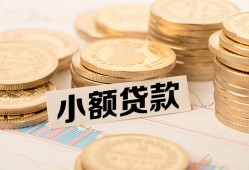 深圳蛇口自贸区哪里有小额贷款-深圳蛇口自贸区身份证贷款平台-深圳蛇口自贸区民间短借
