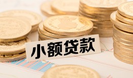深圳蛇口自贸区哪里有小额贷款-深圳蛇口自贸区身份证贷款平台-深圳蛇口自贸区民间短借